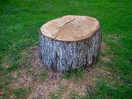 Best Lawn Dethatching  in Tallmadge, OH